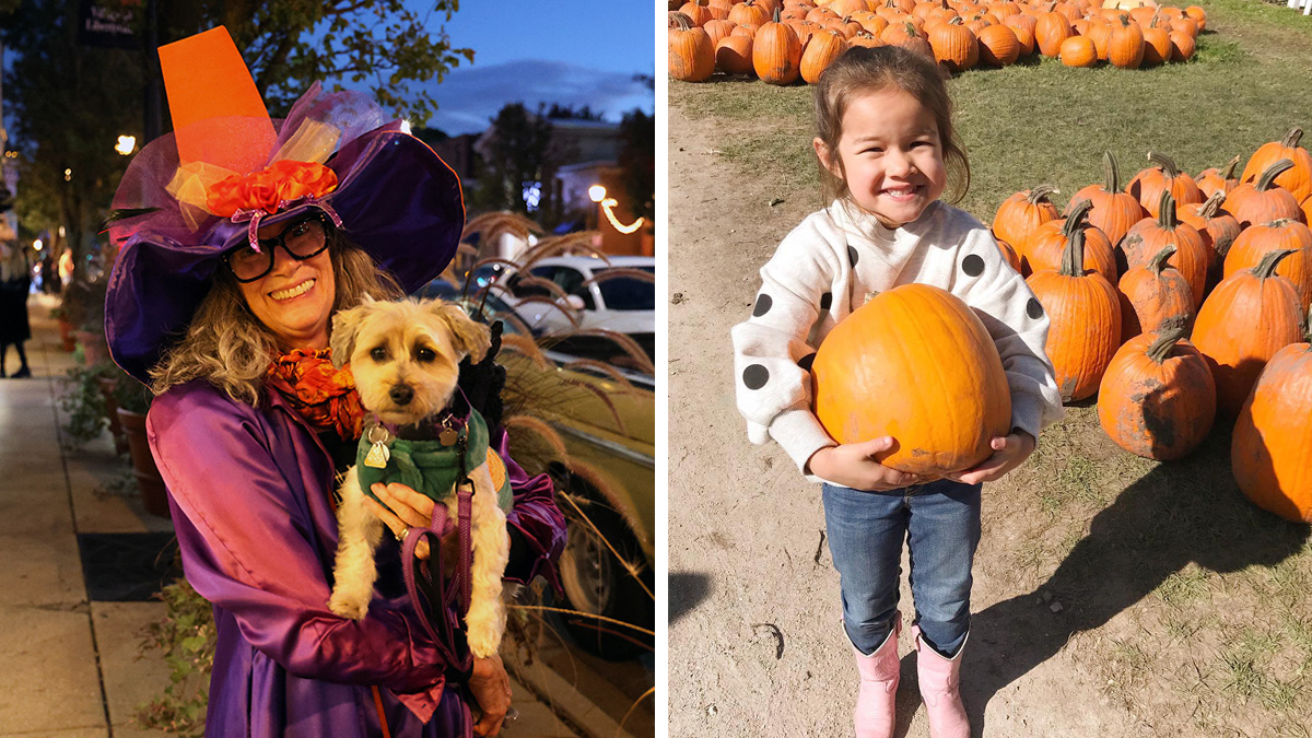Fall Festivals in Lake County 2026